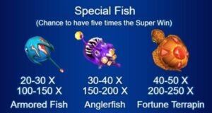 Special Fish