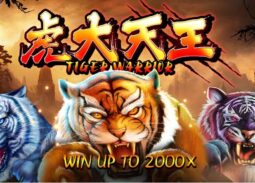 Tiger Warrior Online Slot