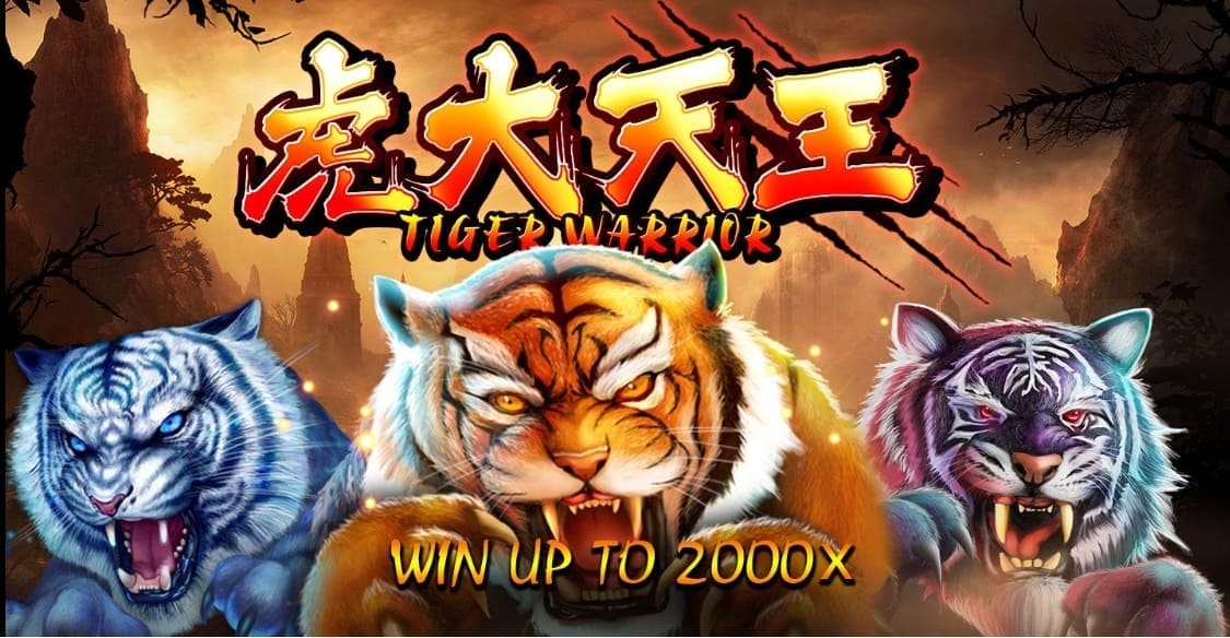 Tiger Warrior Online Slot by Spadegaming