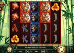 Tiger's Luck: Hold & Win Online Slot